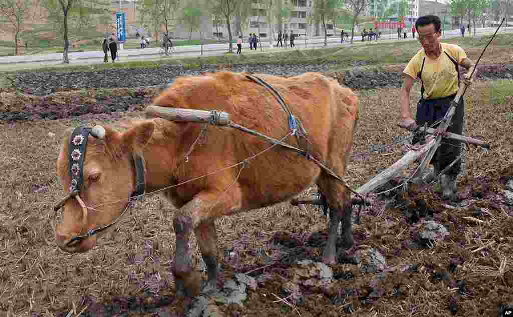 [오늘의 북한] 주민들의 생활상