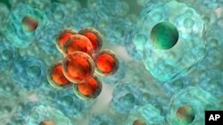 Researchers want to use the heat generated by nanoparticles to kill cancer cells, while not affecting nearby healthy tissue.