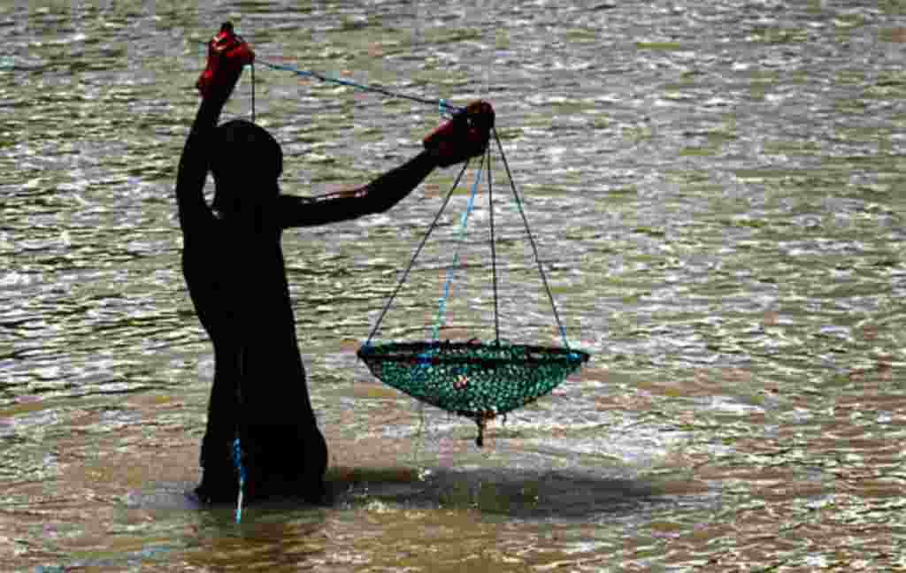 Crab fisherman Silvano Sa, 12, casts his net from the shore in the Guinea-Bissau capital Bissau, Thursday, Sep. 18, 2003. (AP Photo/Ben Curtis)