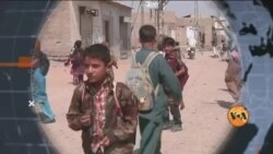 ویو 360 | 24 جنوری 2025 کا پروگرام 