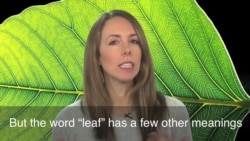 English in a Minute: Turn Over a New Leaf