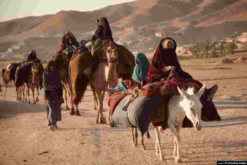 کوچی های افغانستان با فرارسیدن بهار مناطق گرمسیر را به سمت مناطق نسبتاً سردسیر ترک می گویند