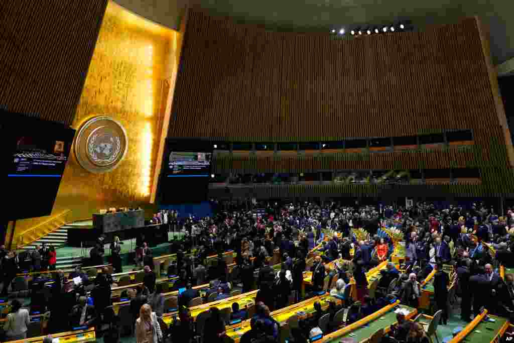 UN General Assembly