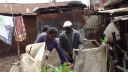 Urban farmers growing vegetables in a slum of Nairobi, Kenya.