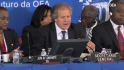 La OEA busca renovarse