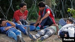 Detained migrants sit next to a barbed wire after crossing the border from Serbia near Ásotthalom, Hungary, Sept. 15, 2015. 