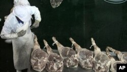 An employee at a workshop of a ham-processing factory in Jinhua, Zhejiang province April 10, 2011.