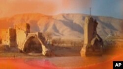 Dr. Tosin ê Reşîd mêvanê Bernama Ferheng û Torê Kurdî