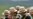 Beijing to Subsidize Conservation of Tibet's Grassland
