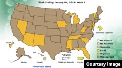 En los estados coloreados en el mapa de marrón es donde más se ha propagado la enfermedad esta temporada (Fuente: CDC).