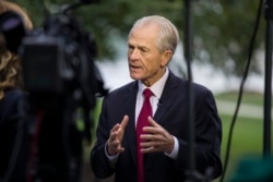 FILE - White House trade adviser Peter Navarro speaks during a television interview at the White House, Oct. 8, 2019.