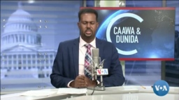 Caawa iyo Dunida