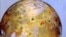 Jupiter's moon Io, the most volcanic body in the solar system, is seen in front of Jupiter's cloudy atmosphere in this image made from NASA's Galileo spacecraft and released Oct. 24. NASA's Bradford Smith, who acted as the "nation's tour guide" to photos from the Voyager probes, famously said of Io: “I’ve seen better looking pizzas than this.” 