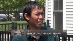 Berkebun dan Makan Sehat (1)