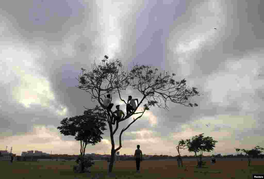 Boys sit in a tree under a partly cloudy sky in an open field in Karachi, Pakistan.