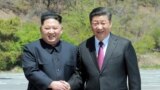 North Korean leader Kim Jong Un shakes hands with China's President Xi Jinping, in Dalian, China in this undated photo released on May 9, 2018 by North Korea's Korean Central News Agency (KCNA).