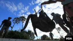 Un elefante es levantado con una grúa en Lilongwe, Malawi, en el primer paso de una migración asistida de 500 animales de la amenazada especie.