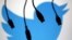 FILE - Electronic cables are silhouetted next to the logo of Twitter, Sept. 23, 2014. 