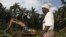FILE - A workman stands in front of an excavator that is clearing land for a palm oil plantation in Malen chiefdom in the Pujehun district in southern Sierra Leone, Oct. 28, 2011. The Sierra Leone plantation of Lichtenstein-based Socfin is one of many such projects in Africa.