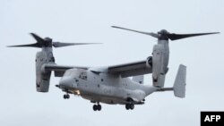 수직 이착륙 수송기 'MV22오스프리'(자료사진)