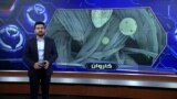 ویژه برنامۀ تکنالوژی کاروان 