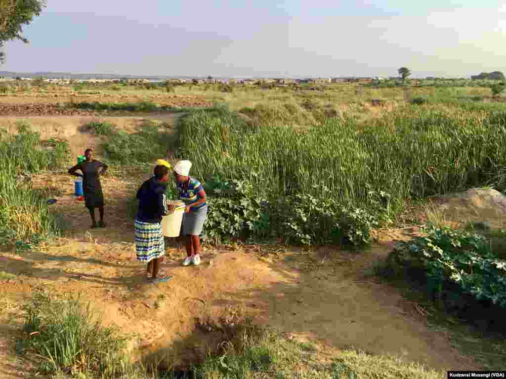 Bulawayo Water Crisis