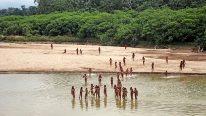 Groups Warn of Conflict Between Loggers, Tribe in Peru