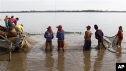 Cambodian fishermen move their fishing net from the Mekong River as they catch fish at the out skirt of Phnom Penh, Cambodia, April 19, 2011