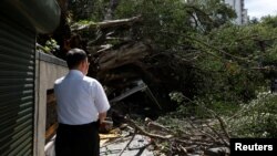 A man reacts at the sight of a tree uprooted by strong winds brought by Typhoon Nesat in Taipei, Taiwan, July 30, 2017. 