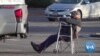 Unusual Bird Spectacle Has Humans Flocking to Parking Lot