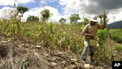 Fenómenos como la sequía se han vuelto recurrentes y vienen a empeorar la situación de los más vulnerables, señaló la Embajadora de Canadá en Guatemala, Deborah Chatsis. 