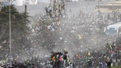 Journée de liesse populaire à Dakar en faveur des nouveaux champions d'Afrique