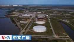 美国之音中文广播 (2026年3月13日)