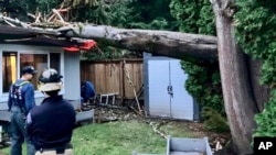 En esta imagen proporcionada por el servicio de emergencias Eastside Fire & Rescue, funcionarios revisan el lugar donde un árbol cayó sobre una casa en Issaquah, Washington, el 19 de noviembre 2024. 