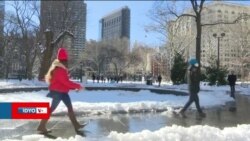 "New York'ta Yapılan Nüfus Sayımı Gerçeği Yansıtmıyor"