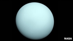 FILE - Arriving at Uranus in 1986, Voyager 2 observed a bluish orb with extremely subtle features. A haze layer hid most of the planet's cloud features from view. (NASA/JPL-Caltech)