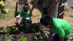 Student Gardeners -- USAGM
