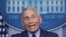 FILE - Dr. Anthony Fauci, director of the National Institute of Allergy and Infectious Diseases, speaks during a briefing by the White House coronavirus task force about the state of the coronavirus disease (COVID-19) pandemic in the United States.