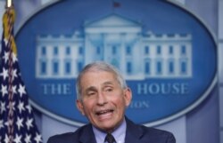 Pakar penyakit menular terkemuka AS, Anthony Fauci di Gedung Putih, Washington, D.C. (Foto dok).