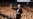 John Litgow, Laura Dern Sabet Piala Emmy