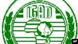 IGAD oo Shir Deg Deg ah Yeelatay