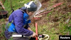 A woman from the countryside practises searching for landmines during a training session involving mock landmines in El Retiro, Antioquia January 23, 2013. A law allowing civil organizations to carry out mine clearance in Colombia was approved in December