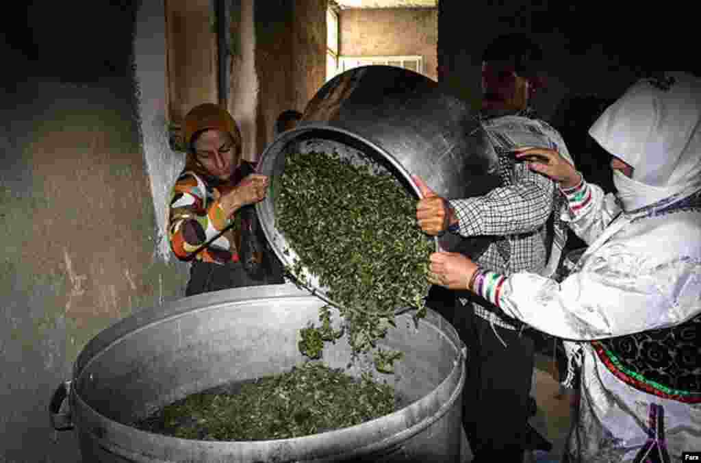 Zəncan - Yaylaq Festivalı