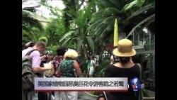 VOA卫视(2013年7月24日 第一小时节目)