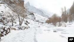 هلاکت پنج تن در ولایت دایکندی