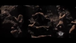 Yeni macəra 3D filmi - Pompeii