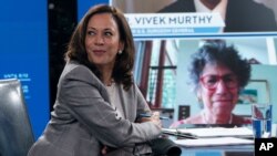 Democratic presidential candidate former Vice President Joe Biden's running mate Sen. Kamala Harris, D-Calif., and Biden receive a virtual briefing on COVID-19 from public health experts in Wilmington, Del., Aug. 13, 2020. 