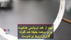 الهام از غدد ابریشمی عنکبوت برای ساخت جلیقه ضد گلوله؛ گزارش رزیتا ایراندوست