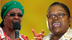 ZimPlus: Grace Mugabe Urges Mugabe to Fire Mujuru, Monday, November 17, 2014