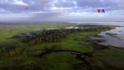 SHORT STORY: Պատերազմների ժամանակ օգտագործվող քիմիական նյութերի և զինատեսկաների ազդեցությունը էկոհամակարգի և կենդանական աշխարհի վրա